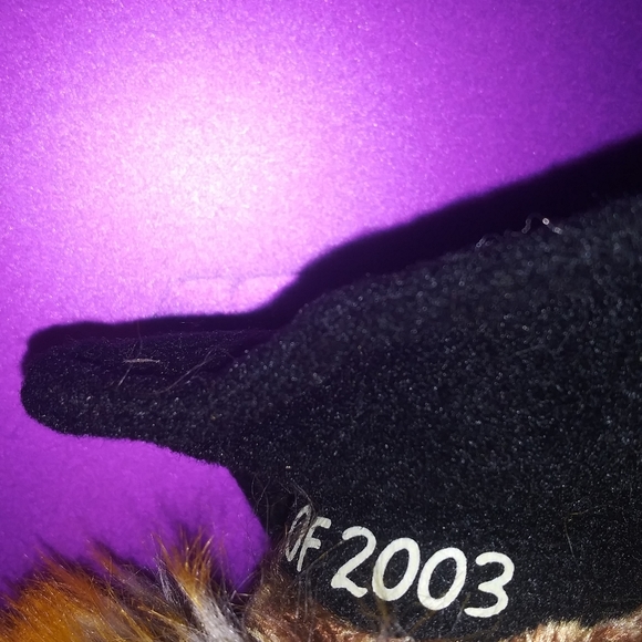 🌼 Smartest "Class of 2003"  Owl 🦉 - Picture 4 of 6